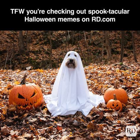 kinky halloween memes|50 Best Halloween Memes So Funny It’s Scary